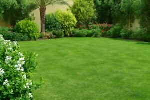 تنسيق حديقة في سلوى، يظهر العشب الطبيعي والنباتات المحيطة